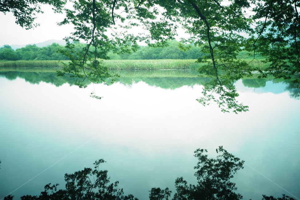 물,water,nature,자연,plant,식물,초목,tree,나무,자연,풍경,nature,landscape,land,땅,outdoors,옥외