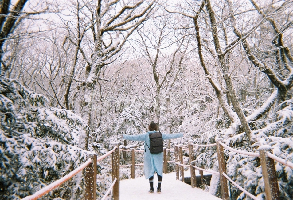 자연,숲속,설산,산,눈,뒷모습
