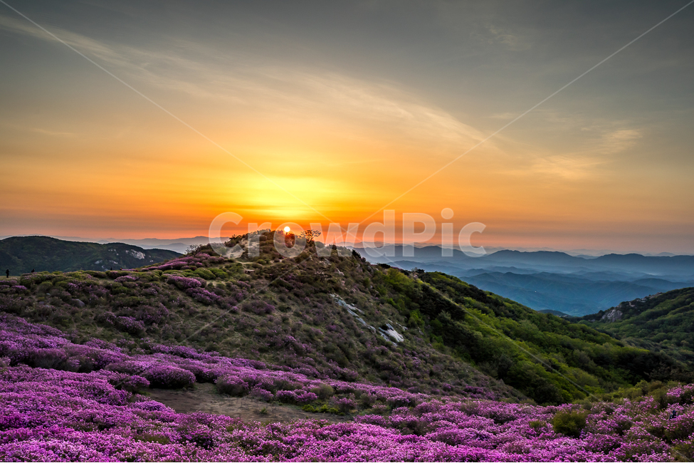 자연,풍경,일출,하늘,구름,태양,황매산,철쭉,철쭉축제,산,운해,nature,landscape,sunrise,sky,clouds,sun,봄,계절,spring,season,자연,풍경,nature,landscape,한국자연풍경,한국자연경관,korea nature landscape,outdoors,옥외
