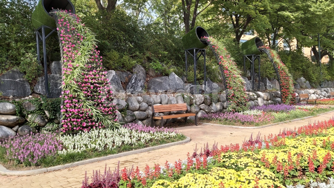 nowongu,flowergarden,walkingpath,노원구,산책길,꽃,꽃밭,벤치,nowongu,flowers,flowergarden,walkway,walkingpath,bench