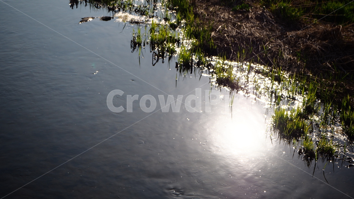 water,물,nature,자연,outdoors,옥외,light,빛,색감,감성사진,풍경,landscape,산책,길거리,feeling,발견,강,river,햇빛,풀,grass