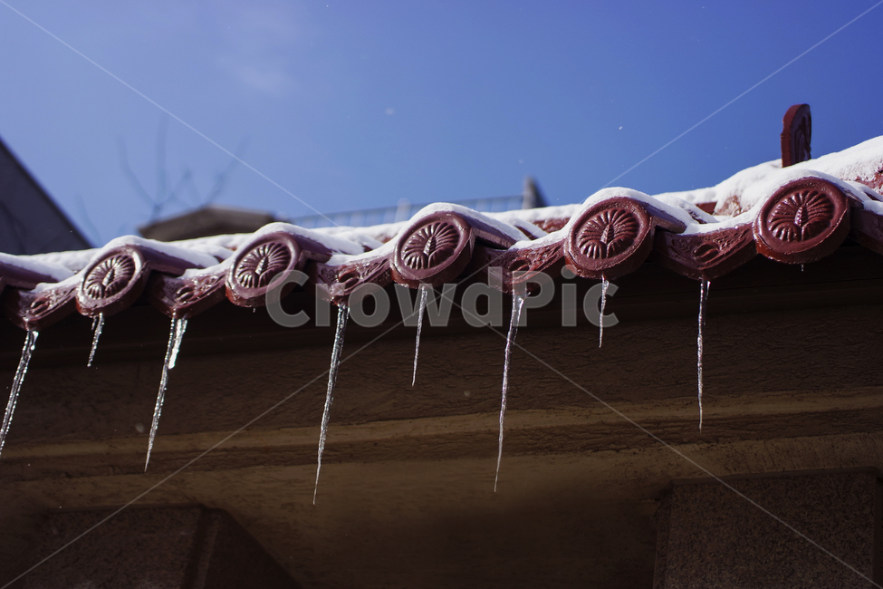 고드름,ice,빙,snow,눈,icicle,처마,지붕,겨울,계절,winter,season
