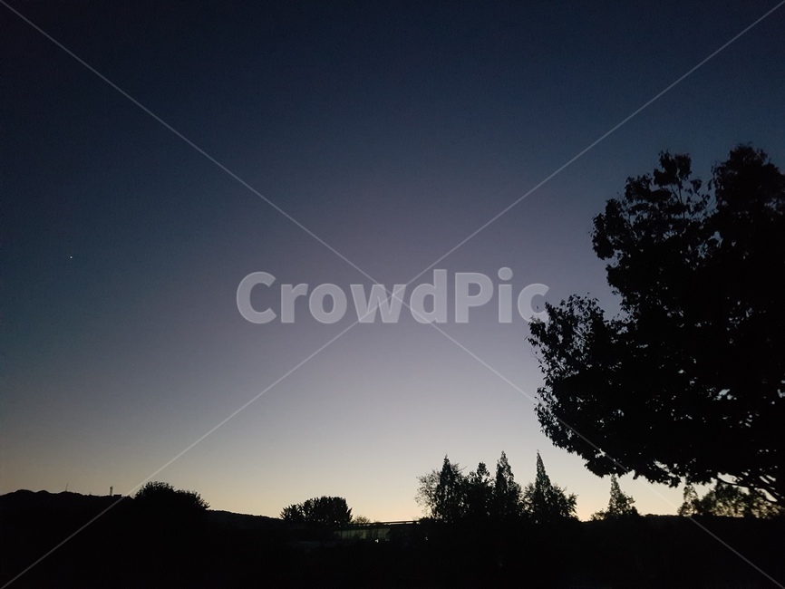 깊은밤,별빛,별똥별,그림자,tree,나무,실루엣,자연,옥외,silhouette,outdoors,야경,밤,풍경,nightscape,night,landscape