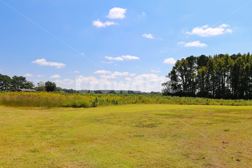 초원,잔디,목초지,파란하늘,목장,자연,풍경,nature,landscape,grassland,outdoors,옥외,field,들,farm,농장,rural,농촌,meadow