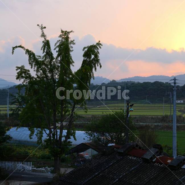 시골,노을,해질녘,일몰,일몰사진,시골,마을,풍경,landscape,country,rural,town