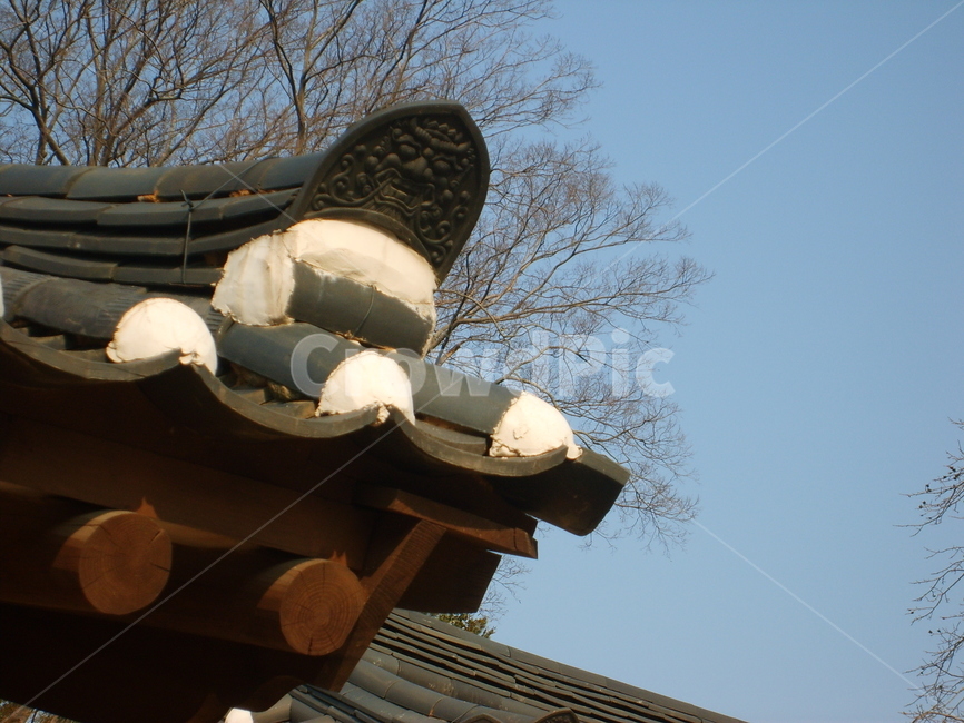 시골,도성,읍내,한양,초가집,기와,기왓집,한국전통,한국문화,korean traditional,korean culture,건축물,건물외관,exterior,building,structure,architecture,construction