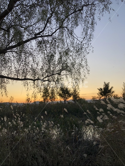 nature,자연,sky,하늘,일몰