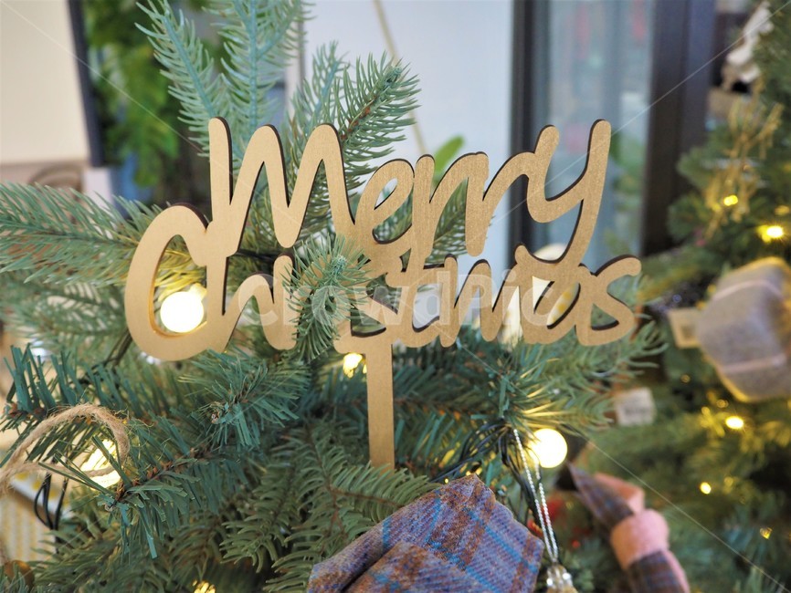 겨울,winter,merrychristmas,겨울분위기,트리,크리스마스트리,조명,크리스마스트리조명,bulb,christmastree,겨울,계절,winter,season,메리크리스마스,성탄절,merry christmas