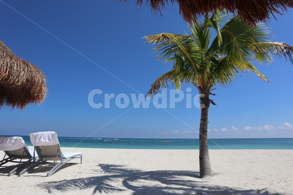 멕시코,칸쿤,플라야델카르멘,해변,야자수,썬베드,mexico,cancun,beach,sunbed,palmtree,여름,휴양,해변,바다,beach,sea,여행,휴가,traveling,vacation,trip