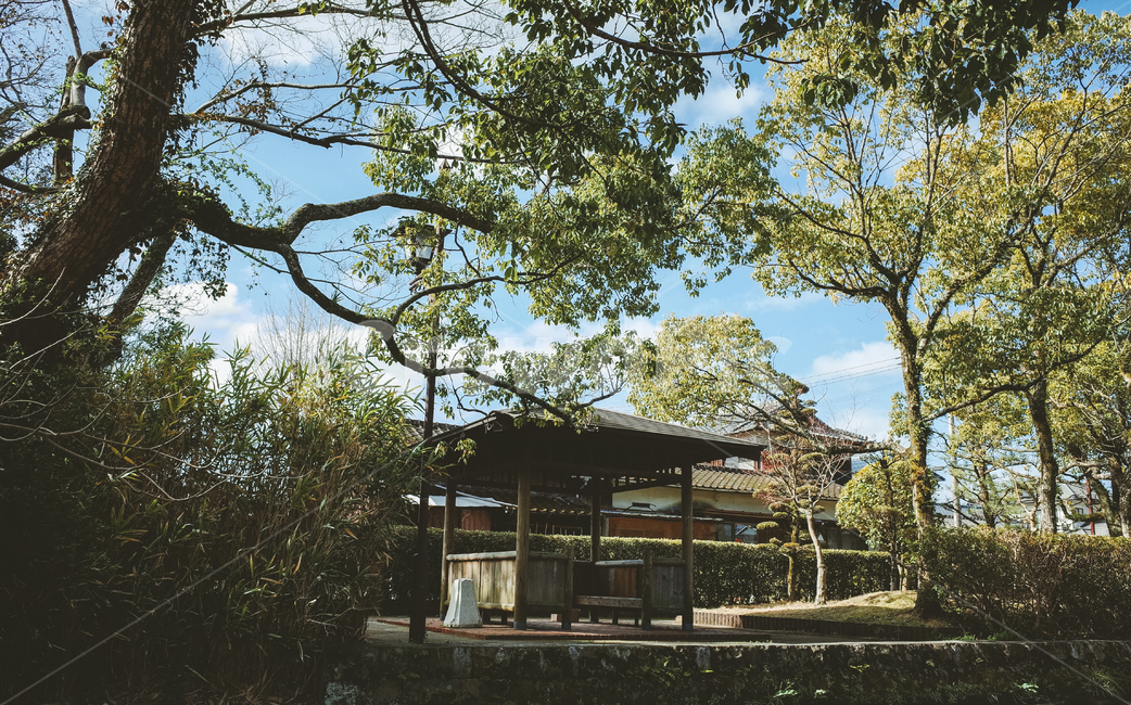 후쿠오카,일본,야나가와,나무,정자,자연,풍경,휴식,봄,3월,asia,blue,fukuoka,garden,japan,japanese,landscape,march,nature,outdoor,park,season,sky,spring,tree,trees,yanagawa,해외,외국,세계,foreign,oversea,world