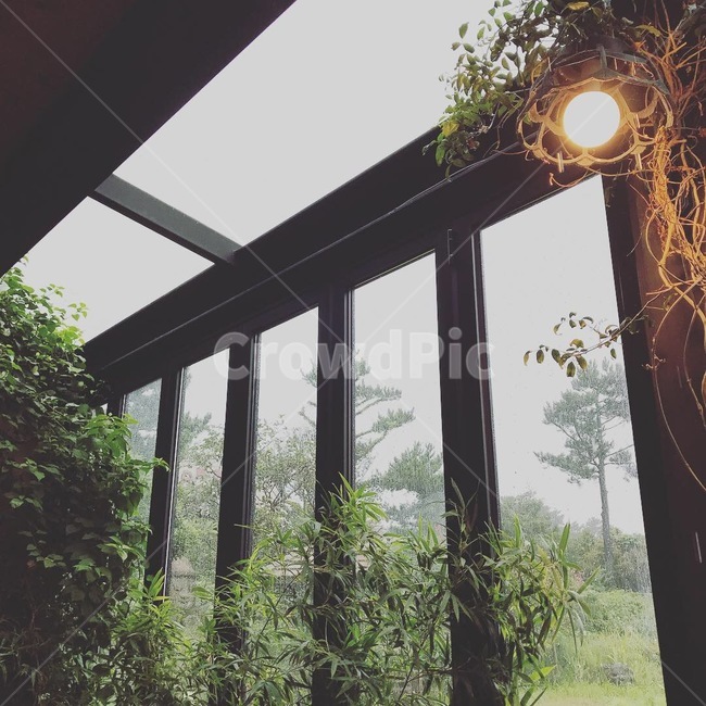 제주도,카페,분위기,비오는날,풍경