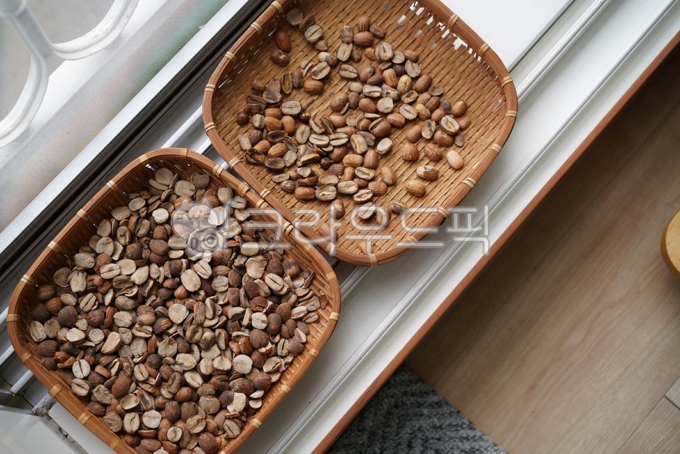 도토리,열매,먹거리,식재료,바구니,생물,plant,식물