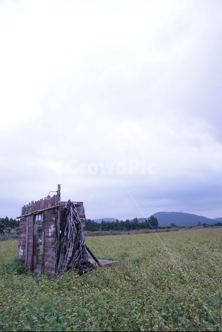 제주,korea,drama,dokkaebi,jejuisland