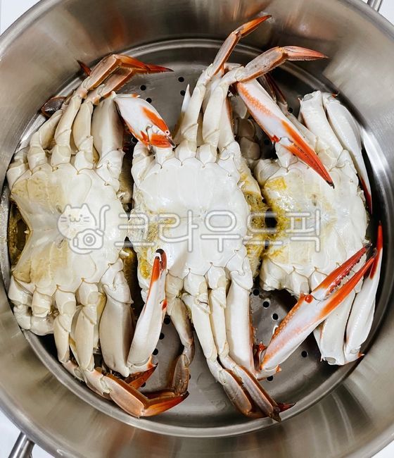 꽃게, 게, 꽃게찜, 게찜, 찜, 사진,이미지,일러스트,캘리그라피 - 먹방작가