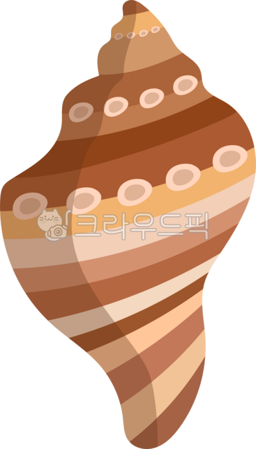 해안가,바닷가,바다,해산물,소라,뿔소라,해양생물,무척추동물,조개