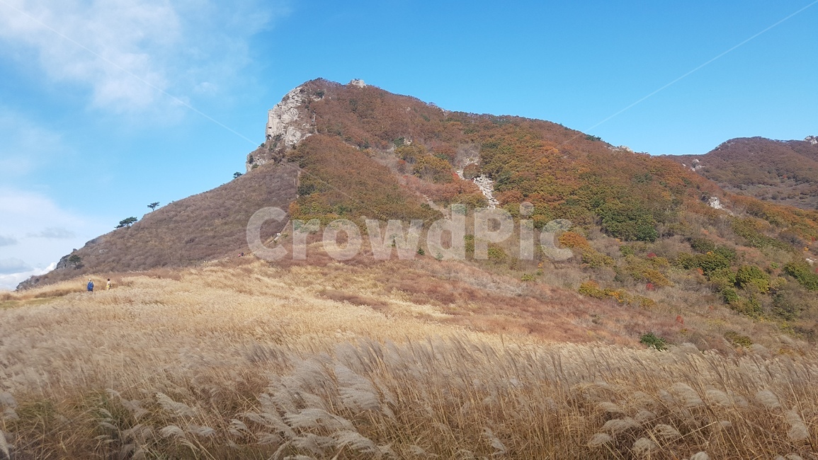자연,산,억새,가을,풍경,nature,언덕,옥외,countryside,구름,하늘,가을,계절,fall,autumn,season,자연,풍경,nature,landscape,outdoors,hill