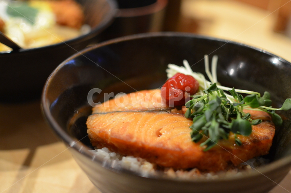 연어,음식,일식,덮밥,사케동,일본,음식,식재료,요리,food,cook,meal,dishes,food reserves