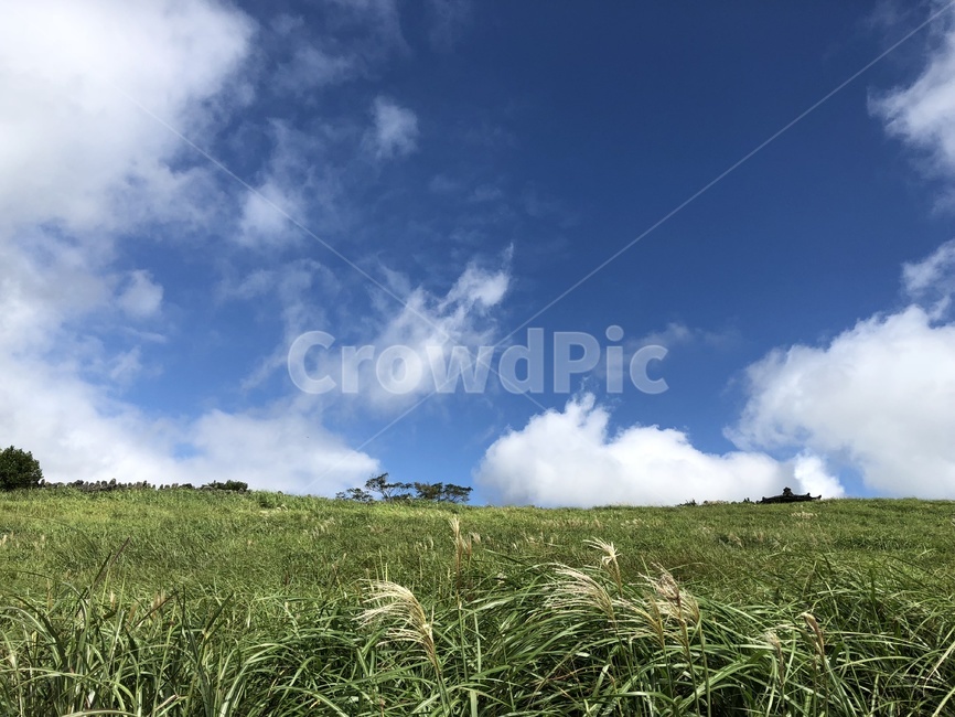 하늘,구름,들판,초원,뭉게구름,동산,sky,clouds,field,plain,grass,hill