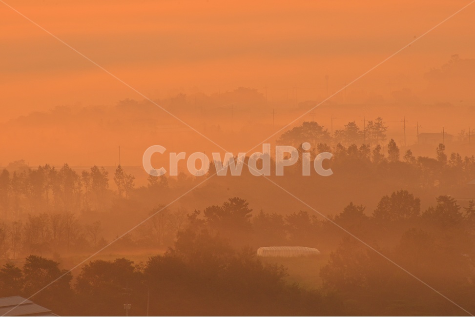 weather,날씨,전남,함평,밀재,밀재일출,여명,아침,해돋이,sky,하늘,dawn,새벽,redsky,붉은하늘,fog,안개,plant,식물,nature,자연,outdoors,옥외,scenery,풍경,landscape,경치,mountain,산,빛내림