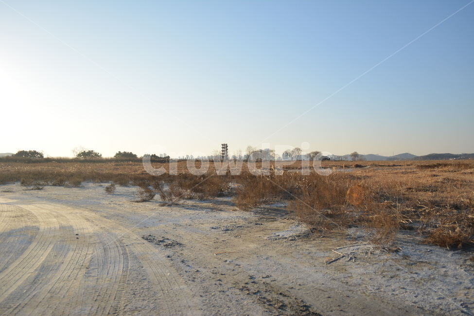 ground,바닥,nature,자연,겨울