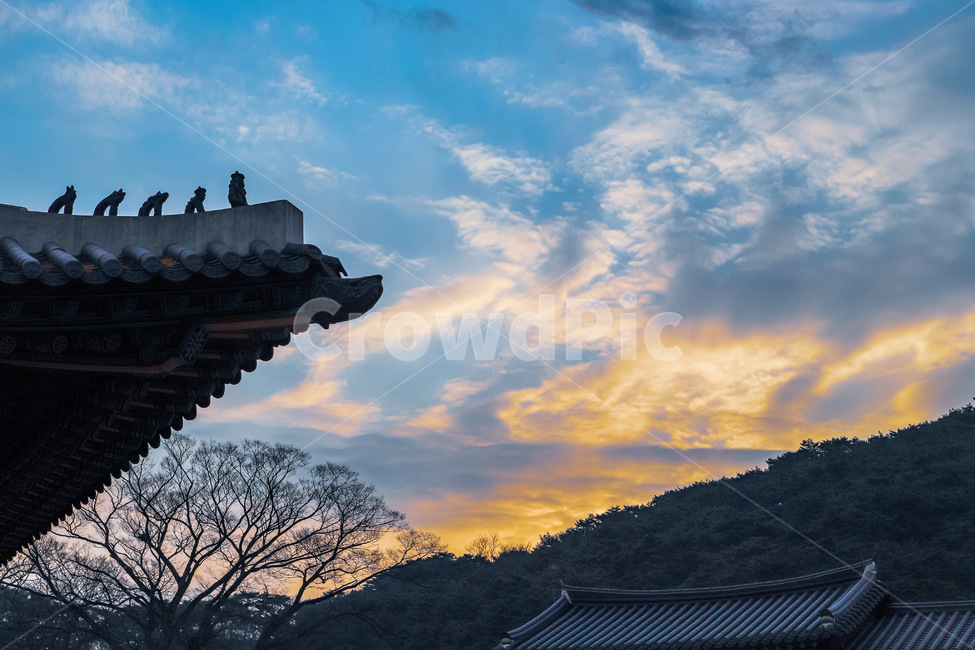 outdoors,nature,자연,건축물,건물,한국전통,한국문화,korean traditional,korean culture,건축물,건물외관,exterior,building,structure,architecture,construction