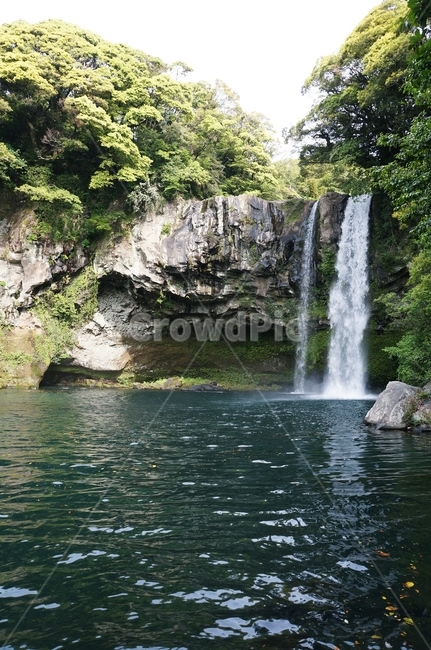 천지연,제주도,천지연폭포,폭포,산,자연,풍경,nature,landscape,한국자연풍경,관광명소,jeju,tree,자연,풍경,nature,landscape,water,물,outdoors,옥외,river,강,waterfall