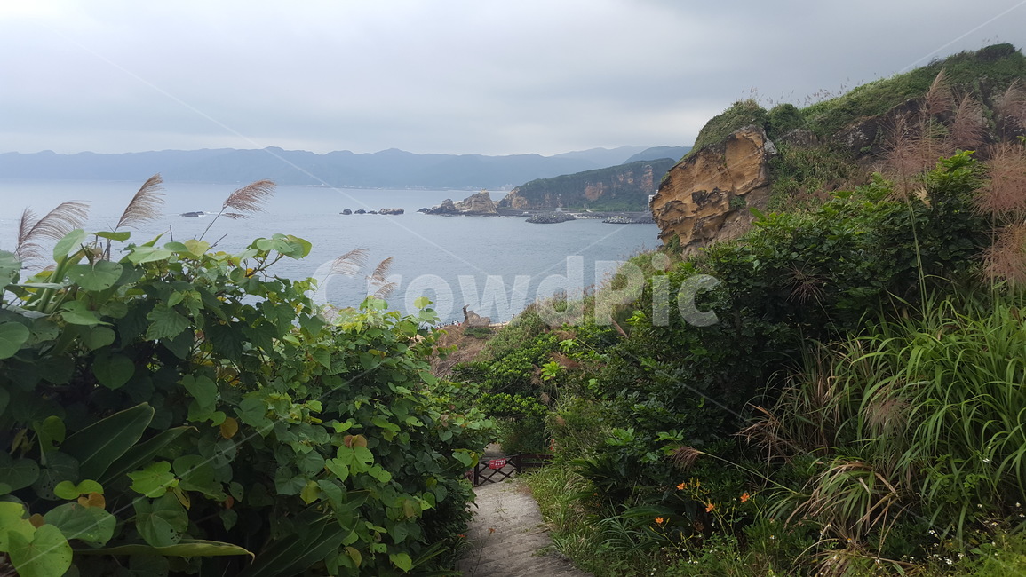 바위,바다,산,풀,자연,풍경,초록색