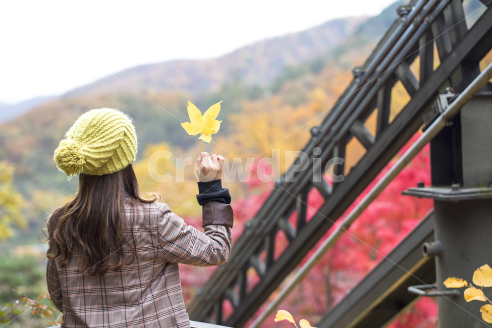 단풍,낙엽,가을,단풍잎,단풍놀이,단풍구경,단풍숲,화담숲,숲,자연,계절,알록달록,뒷모습,나뭇잎,가을,계절,fall,autumn,season,사람,인물,인간,human,person,여성,여자,woman,female,lady,leaf,잎,plant,식물