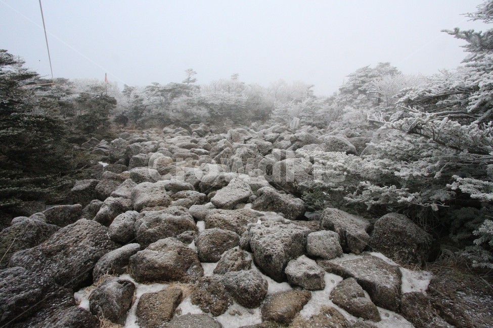 한라산,제주도,산,상고대,눈,눈꽃,겨울,snow,winter,돌,stone