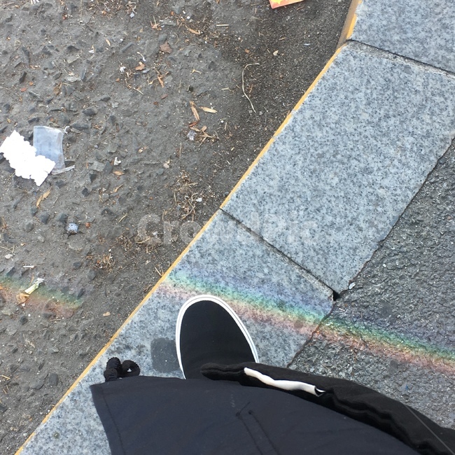 무지개,데일리,반스에선틱,반스,슬립온
