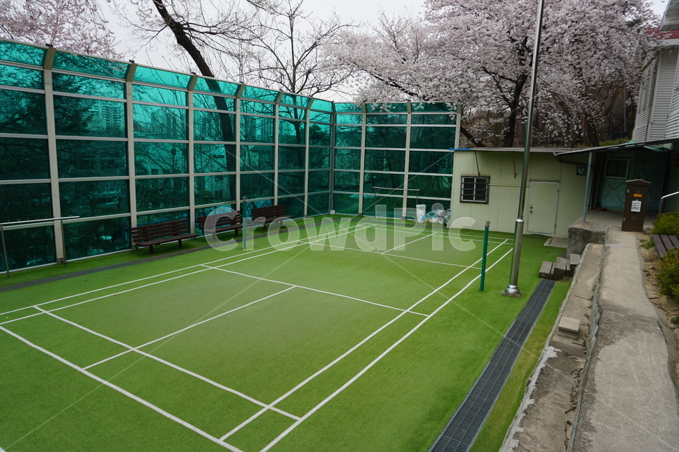 배드민턴장,테니스장,흐린날,초록색,운동,스포츠,레저,운동,sports,leisure,exercise