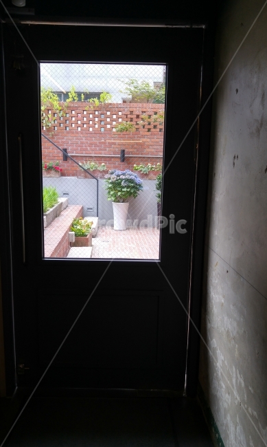 입구,문,출구,화분,창문,인테리어,실내디자인,interior design