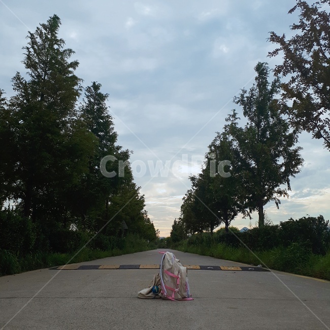 나무,도로,가방,감성,공허,road,아스팔트