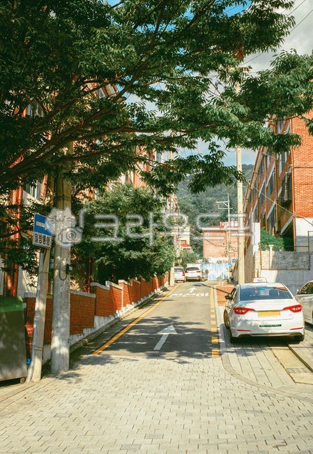 automobile,oneway street,road,car,street,intersection,sign,tree,Alleyway,traffic,vehicle