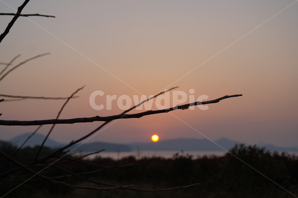 석양,노을,감성,sunset,일몰,식물,배경,백그라운드,nature,야외,풍경,저녁,그람자,나무,나뭇가지,자연,풍경,nature,landscape