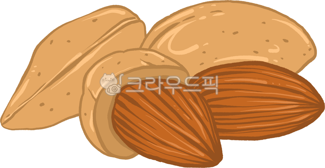 견과류,견과,nut,아몬드,almond