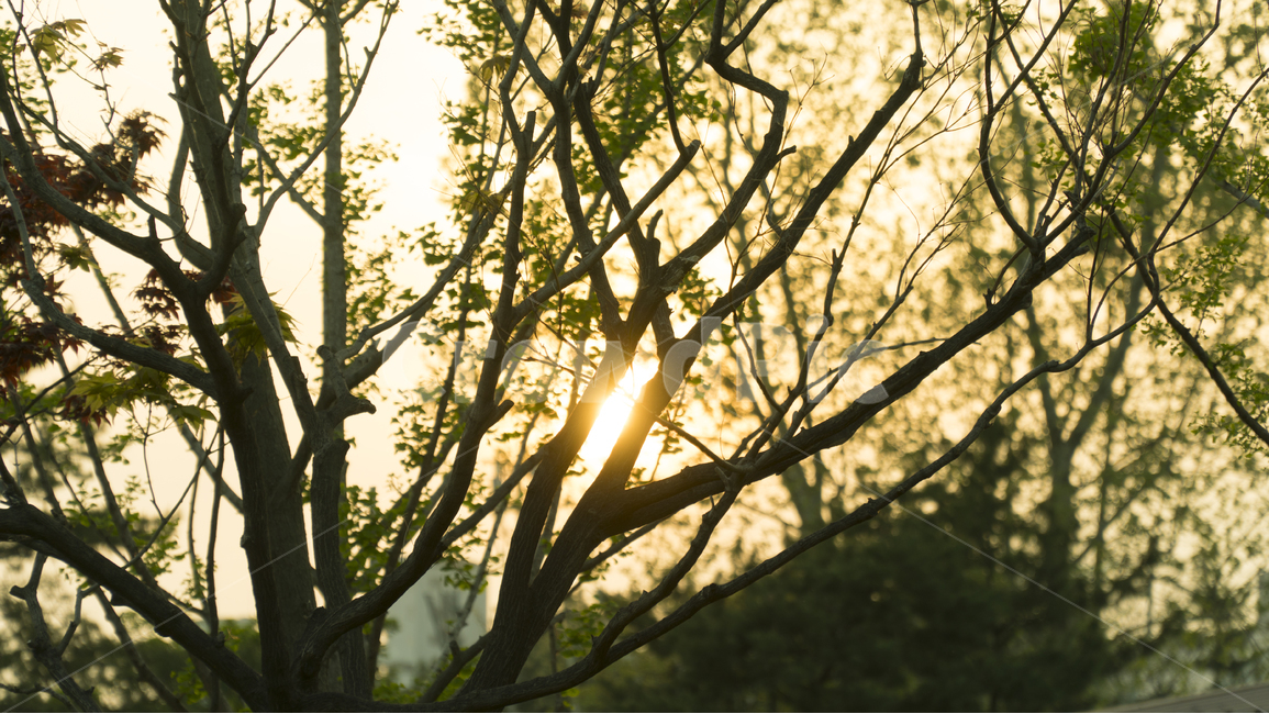 빛,햇빛,노을,저녁,햇살,자연,풍경,nature,landscape,flare,플레어,light,sunlight