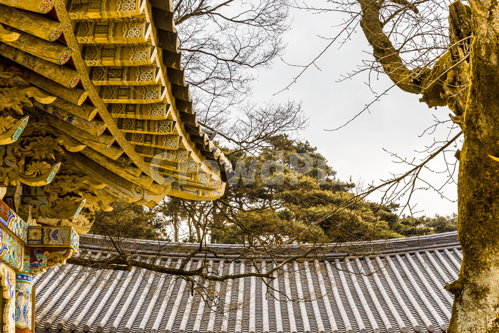 단청,처마,기와,전통,선,사찰,한국전통,한국문화,korean traditional,korean culture,건축물,건물외관,exterior,building,structure,architecture,construction