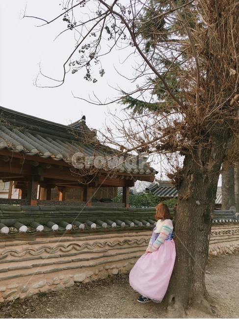 전주,한옥마을,한복,한옥,궁,뒷모습,한국,전통,한국전통,한국역사,인물,jeonju,전통의상,한국전통의상,한국문화,koreanculture,koreanhistory,koreantraditional,person,hanbok,기와,한복,한국전통의상,hanbok,korean traditional clothes,사람,인물,인간,human,person,여성,여자,woman,female,lady