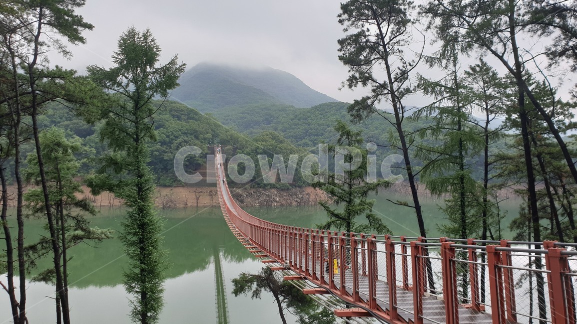 마장호수,출렁다리,파주,호수,풍경,자연
