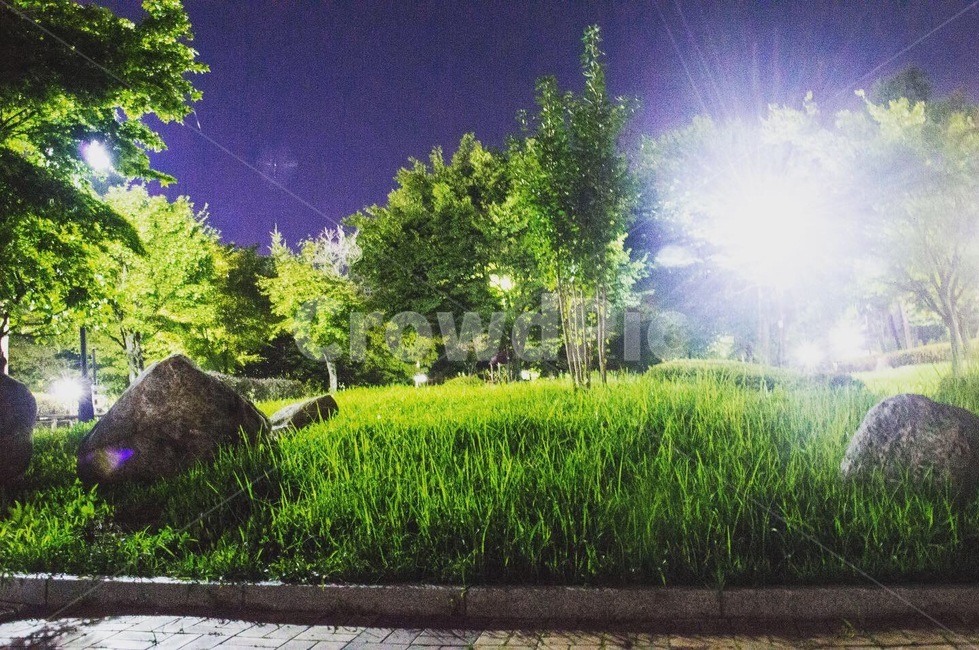나무,잔디,식물,배경,봄,공원