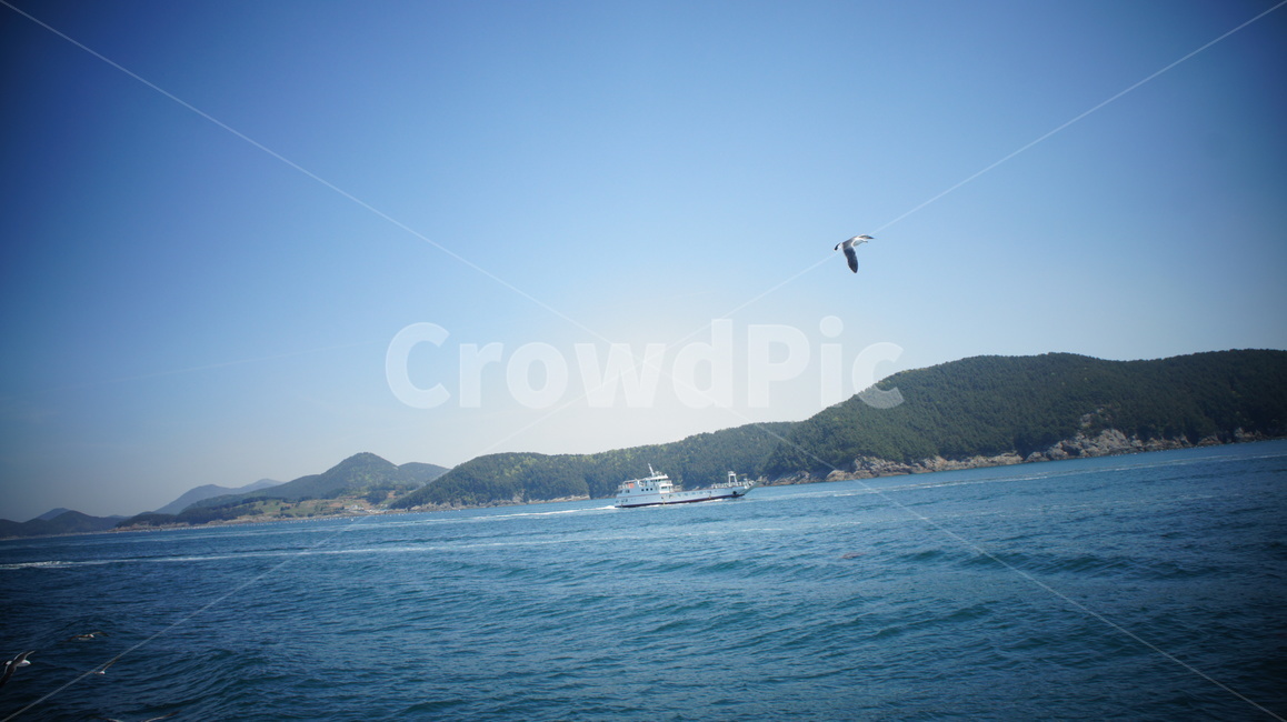 바다,갈매기,날다,시원,청량,sea,fly,seagull,cool
