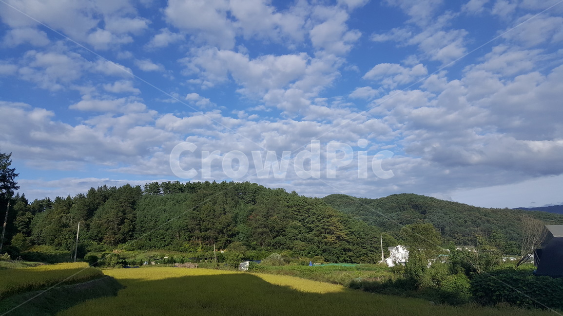 한국,가을,하늘,구름,풍경,맑은날,좋은날,따사로움,시골,자연,자연,풍경,nature,landscape,outdoors,옥외,field,들,grassland,목초지