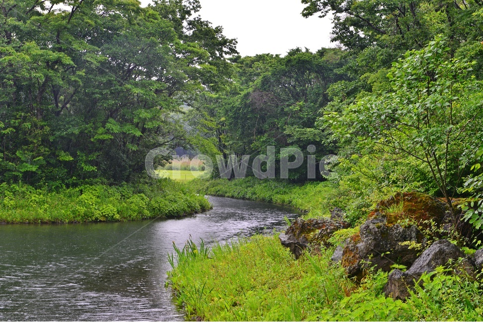 outdoors,옥외,nature,자연,ground,바닥,제주,에코랜드테마파크,공원,비,소나기,경치,경관,풍경,비경,제주경관