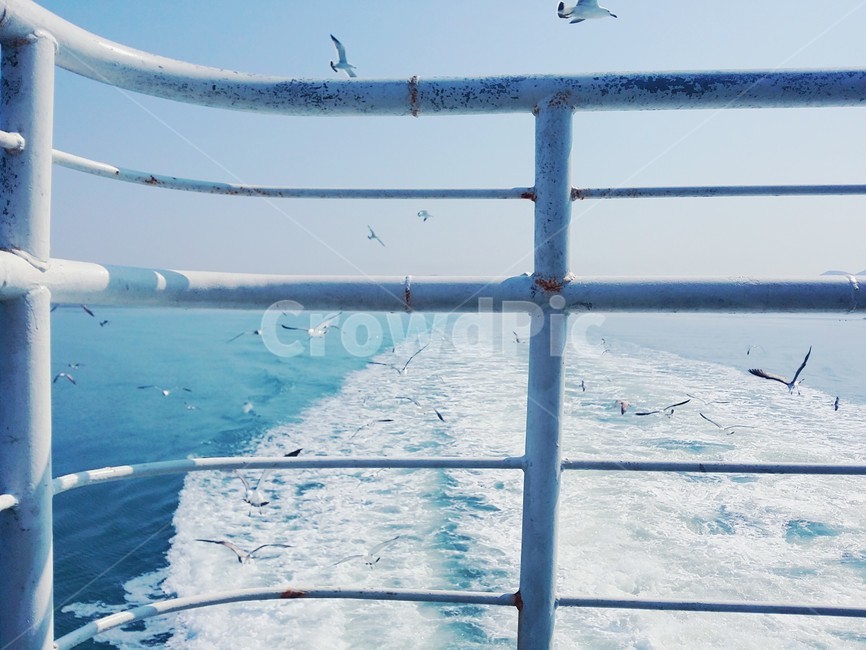 갈매기,isalnd,seagull,하늘,바다,배