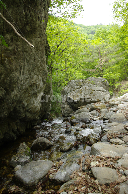 바위,냇물,강,돌,강물,자연,풍경,nature,landscape,water,물,rubble,파편,outdoors,옥외,slate,슬레이트