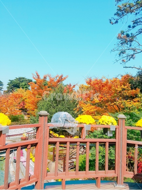 가을,단풍,색깔,배경,하늘,가을,계절,fall,autumn,season,자연,풍경,nature,landscape,railing,난간,gate,문