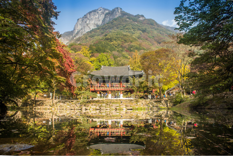 장성,백양사,단풍,쌍계루,풍경,가을,반영,가을,계절,fall,autumn,season,자연,풍경,nature,landscape,한국자연풍경,한국자연경관,korea nature landscape,building,건물,outdoors,옥외,architecture,건축물,temple,신전