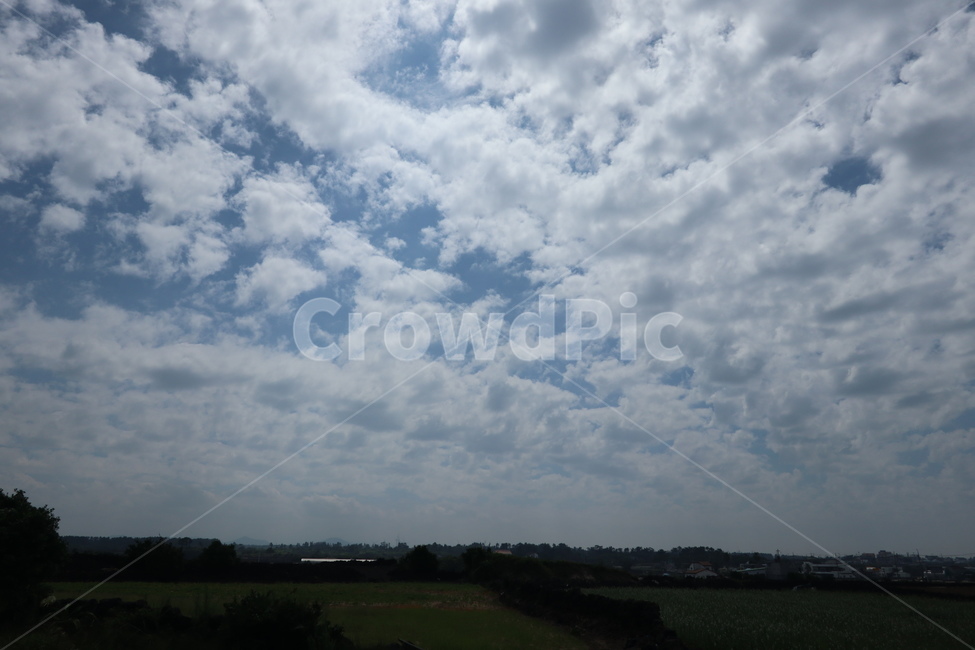 자연,sky,하늘,구름,푸른하늘,화창,제주,제주도,jeju,자연,풍경,nature,landscape,outdoors,옥외,weather,날씨,cumulus,적운,cloud