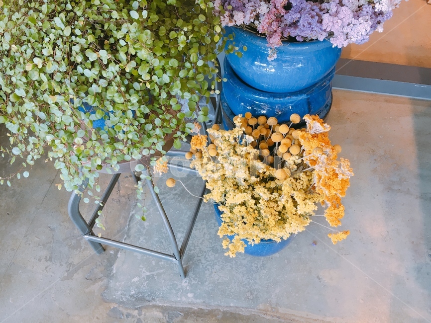 꽃,봄,꽃다발,화분,컬러플,colorful,flower,배경,감성,감성사진,실내용화초,화분,화초,house plant
